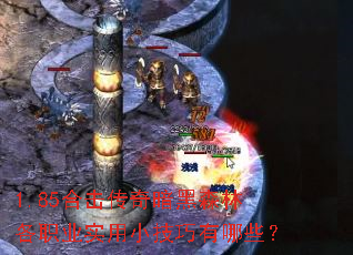 1.85�ϻ����氵��ɭ�ָ�ְҵʵ��С��������Щ��