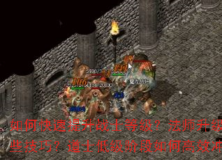 ��ο�������սʿ�ȼ�����ʦ��������Щ���ɣ���ʿ�ͼ��׶���θ�Ч�弶��