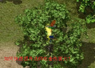 ��ο���������ʦ�����˺�����