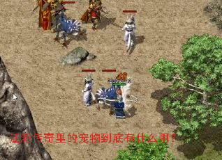 ����������ĳ��ﵽ����ʲô�ã�