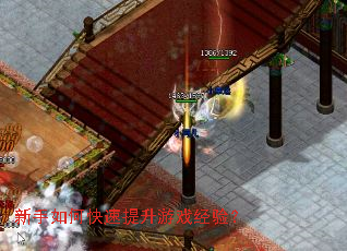 ������ο���������Ϸ���飿