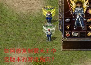 ����޸��ư������б�汾����Ϸ©����